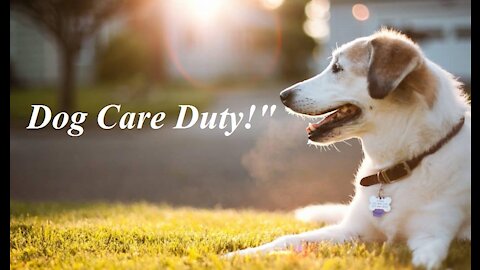 "Get All The Support And Guidance You Need To Be A Success At taking Care Of Your Dog!"