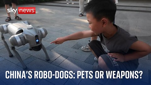 China: Robo-dog maker surprised as its machines armed with guns in military exercises