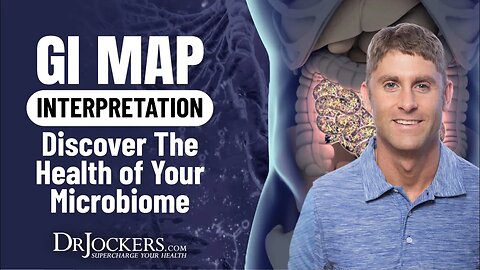 GI MAP Interpretation: Discover the Health of Your Microbiome