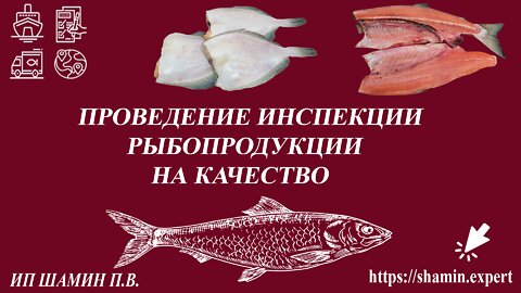 Инспекция рыбопродукции на качество (Органолептика рыбы, экспорт рыбы из России)