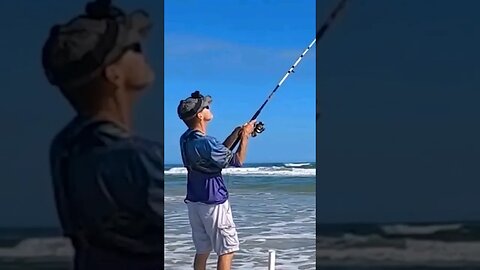 Cooler full of fish using drone and camera surf fishing #surffishing #shorts