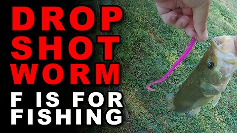 Drop Shot Worm