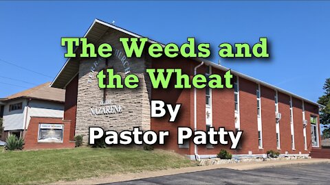 The Weeds and the Wheat