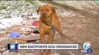 City of Eastpointe adopts new animal ordinances