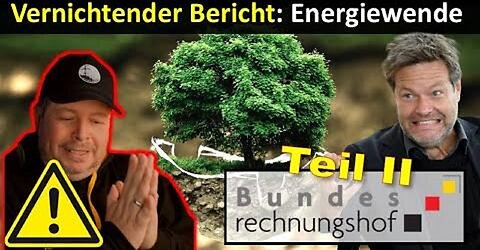 Bundesrechnungshof - Energiewende Kosten/Umwelt Teil II Bericht