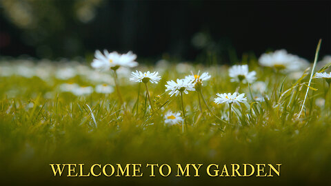 Welcome to my Garden | Canon C200