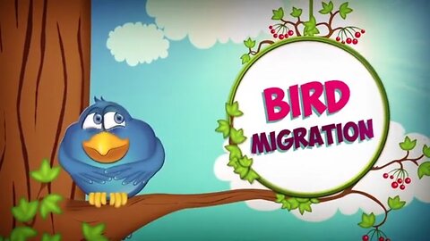 bird migration|bird facts|animal facts for,kids|bird...