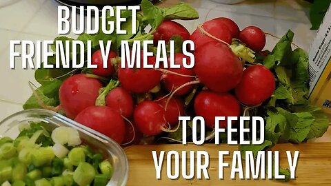 Budget Friendly Meal Ideas | A Storm is Coming Y'all