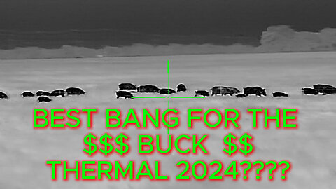 BEST BANG FOR THE BUCK THERMAL 2024