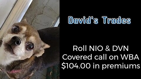 Rolled NIO & DVN. Covered call on WBA $104.00 received