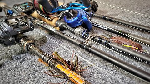 Only 5 Rods I Need to Catch bass