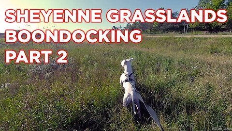 Boondocking in Our Ambulance - Sheyenne Grasslands Part 2 | Ambulance Conversion Life