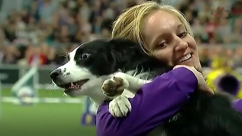 Watch This Athletic Dog Nail Stunning Agility Challenges!