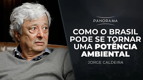 COMO O BRASIL PODE SE TORNAR UMA POTÊNCIA AMBIENTAL | Panorama com Jorge Caldeira