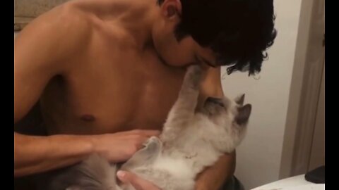 Another Cute Cat Admiring Her Daddy