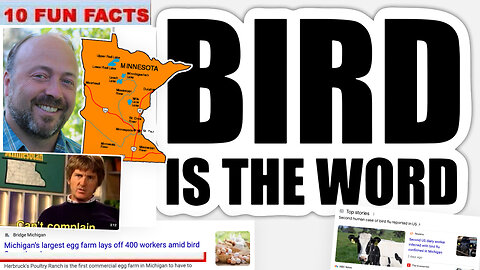 Bird Flu | 10 Bird Flu Facts + Raw Milk Containing Bird-Flu Virus Can Sicken Mice, Study Finds + University of Minnesota, “Promising preclinical findings for mRNA vaccine against global H5N1 avian flu clade” + How to Speak Fluent Minnesotan