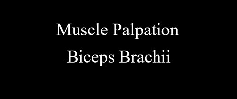 Muscle Palpation - Biceps Brachii