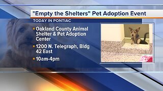 Bissell Pet Adoption Event