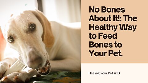 No Bones About It! The Healthy Way To Give Your Pet Bones!