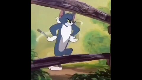 #tomandjerry