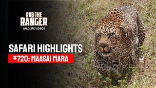 Safari Highlights #720: 05 September 2022 | Lalashe Maasai Mara | Latest Wildlife Sightings