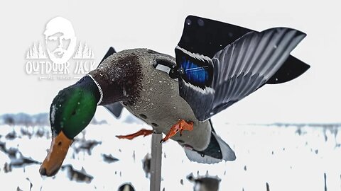 Unboxing AvianX Powerflight Mallard Spinning Wing Decoy | Outdoor Jack