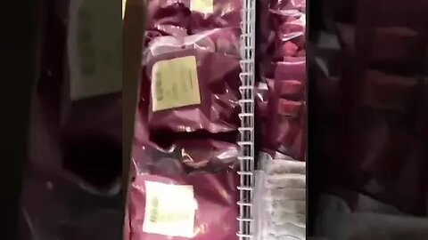 Ratos congelados já estão à venda na Europa. O preço é de 31,50 euros por 25 peças #shorts