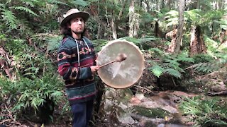 Rainforest Drum - Drumming In Nature - Shamanic Drum - Bird Sounds