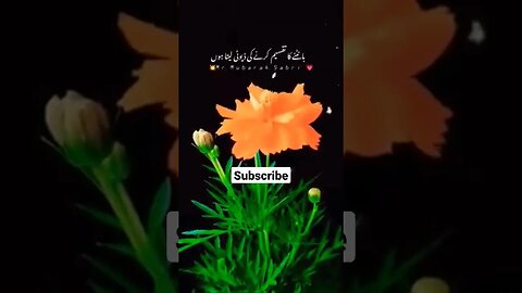 Hazoor SAW py qurban jaon #shorts #ytshorts #youtubeshorts #bayan