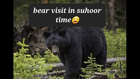 🐻 bear surprise visit in suhoor time #bear #animals #fyp #viral #trending #reels #ramadan #food