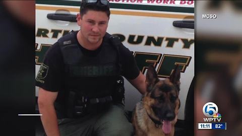 Martin County Sheriff's Office K-9 Kaspar recovering from surgery