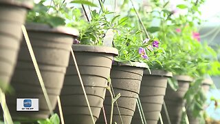 Homeowners getting started on yard work can use curbside pick up