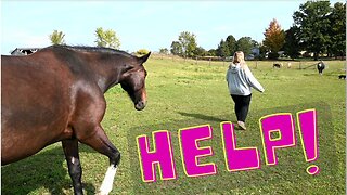 Her Horse Came Running To Tell Her She Was Hurt!