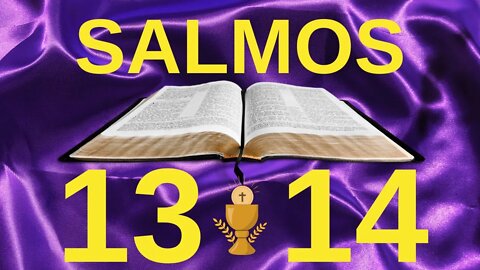 Salmos 13 y 14 Oración de la mañana 🙏🙏