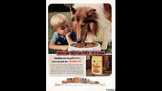 1960s-1970s DOG & CAT FOOD TV COMMERCIALS