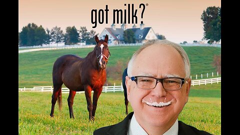 MY MILKSHAKE - TIM WALZ