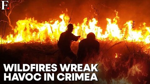 Hundreds of Firefighters Battle Wildfires in Crimea | FPNews