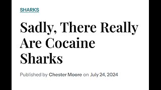 A FRIDAY FUNNY - COCAINE SHARKS ARE REAL - WITH HIGH LEVELS OF COCAINE IN LIVER & MUSCLES