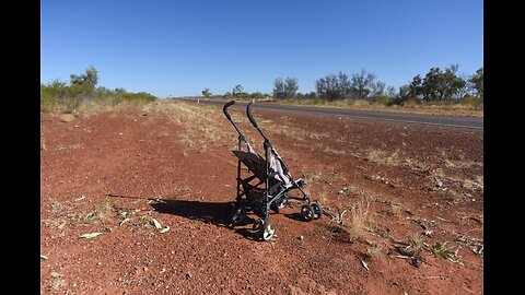 Random Chimp Event at Daly River