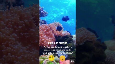 Relaxing, calming, and peaceful music with beautiful ocean floor videos for meditation #Shorts