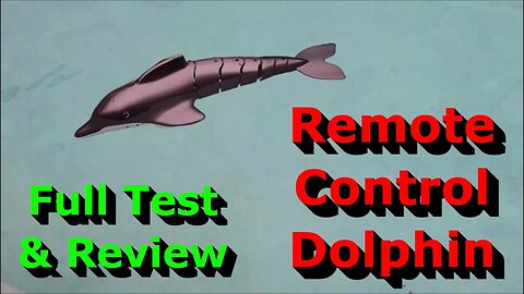 Remote Control Dolphin - Full Test & Review - Great Gift!