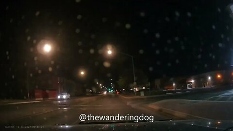 South Tucson White Dog Running with Boots in its mouth