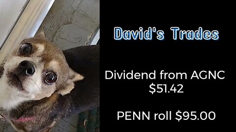 Rolled PENN Put and received $95.00.