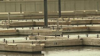 Neighbors want Sturgeon Point Marina fully open