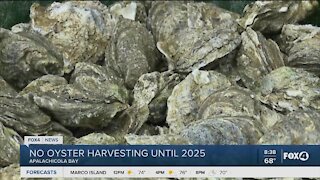 Now oyster hunting Apalachicola Bay