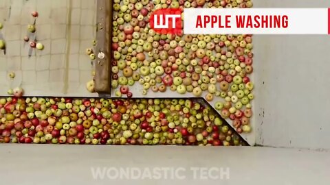 How Apple Juice Is Made In Factory