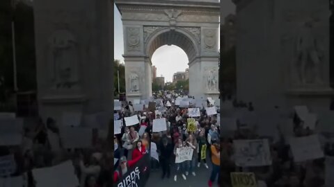 Birds Aren’t Real Protest in NYC