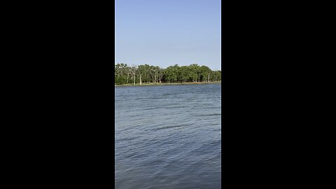 A View From The Banks Of Lake Ray Roberts State Park