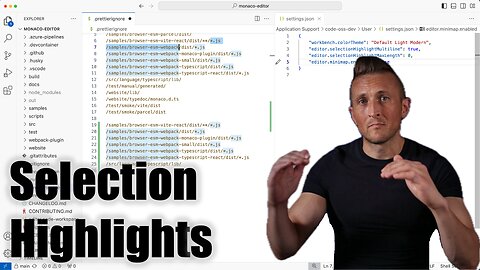 Selection Highlights across Multiple Lines in VSCode