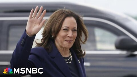 VP Kamala Harris rakes in over $300 million, as she secures 2024 Democrat Party nomination | VYPER